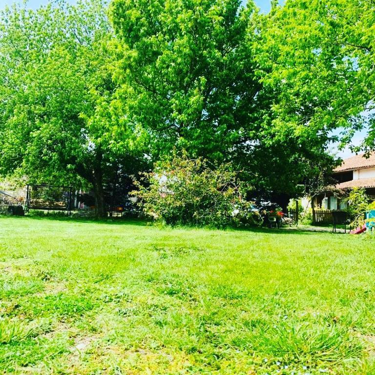 فيلا فاليجيو سول مينشيوفي Agriturismo La Pace المظهر الخارجي الصورة