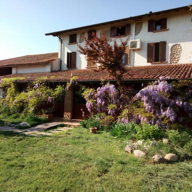 فيلا فاليجيو سول مينشيوفي Agriturismo La Pace المظهر الخارجي الصورة