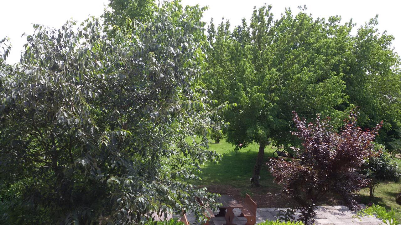فيلا فاليجيو سول مينشيوفي Agriturismo La Pace المظهر الخارجي الصورة