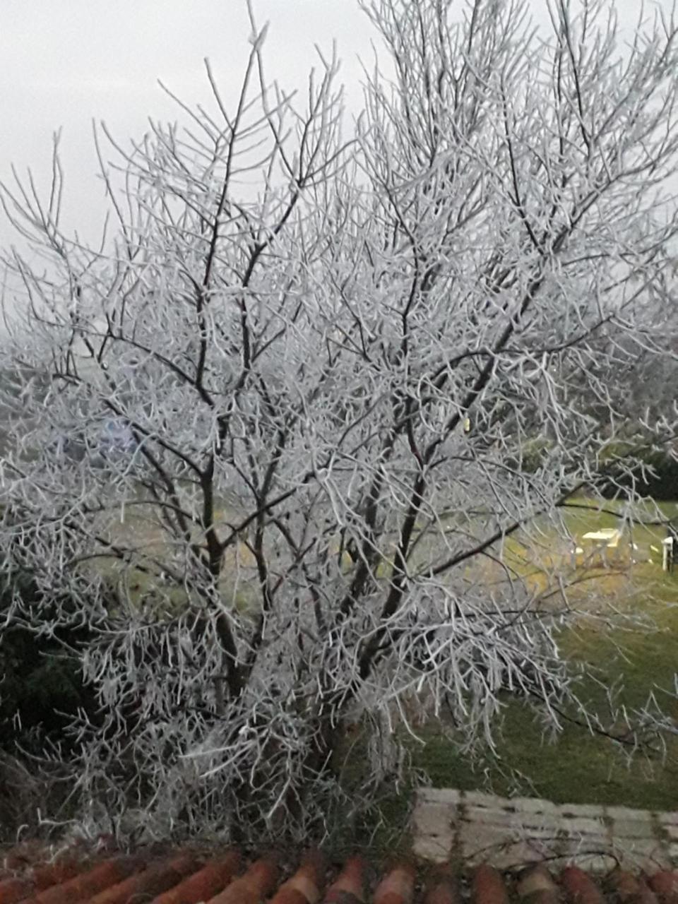 فيلا فاليجيو سول مينشيوفي Agriturismo La Pace المظهر الخارجي الصورة